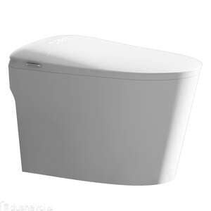 Умный унитаз напольный SantiLine SL-5036 белый глянец, с крышкой микролифт, с функцией биде и электрикой