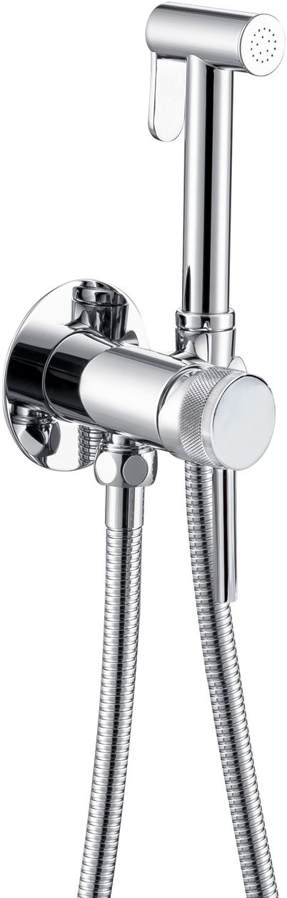 Гигиенический душ Allen Brau Priority 5.31A29-00 со смесителем, с внутренней частью, хром