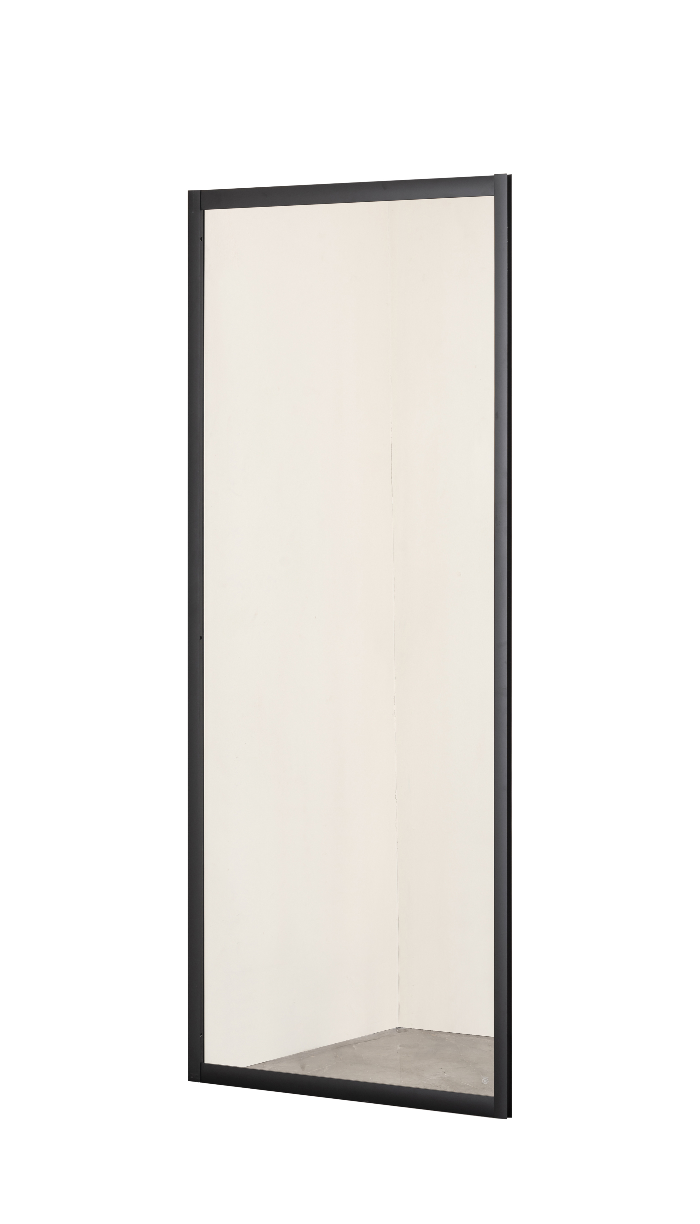 Боковая стенка Taliente 100x195 см TA-10-1CB стекло прозрачное, профиль черный
